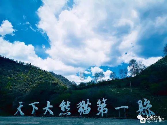有趣的动物拼图